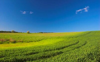 Indemnisation des améliorations du fonds loué : la contestation du congé n’interrompt pas le délai de forclusion