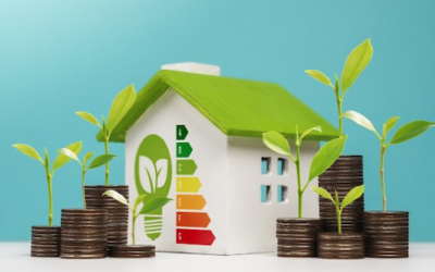 La valeur verte des logements en France